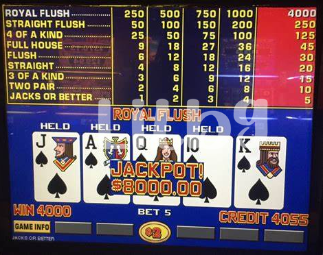 🎰 Understanding the Basics of American Video Poker