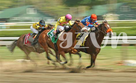 🏇 Birth of America's Love Affair with Horse Racing